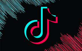Snaptik Review: How to Download TikTok Videos Quickly